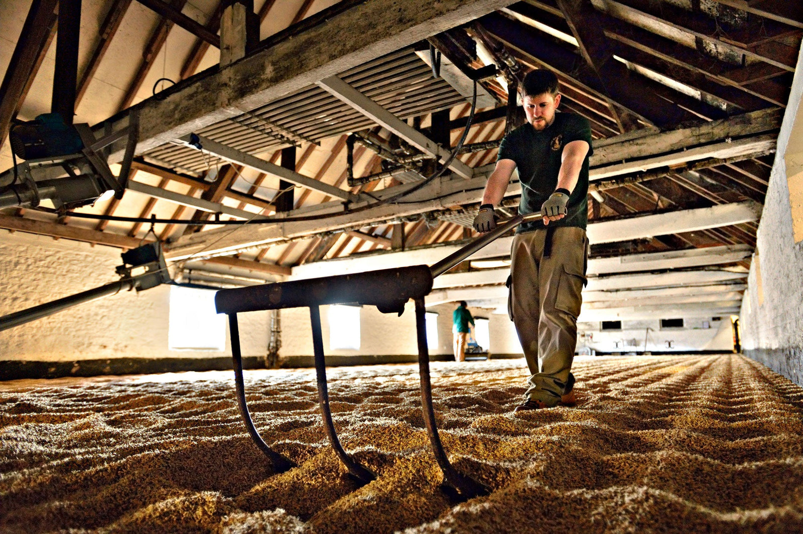 Witchmark Distillery and Warminster Maltings