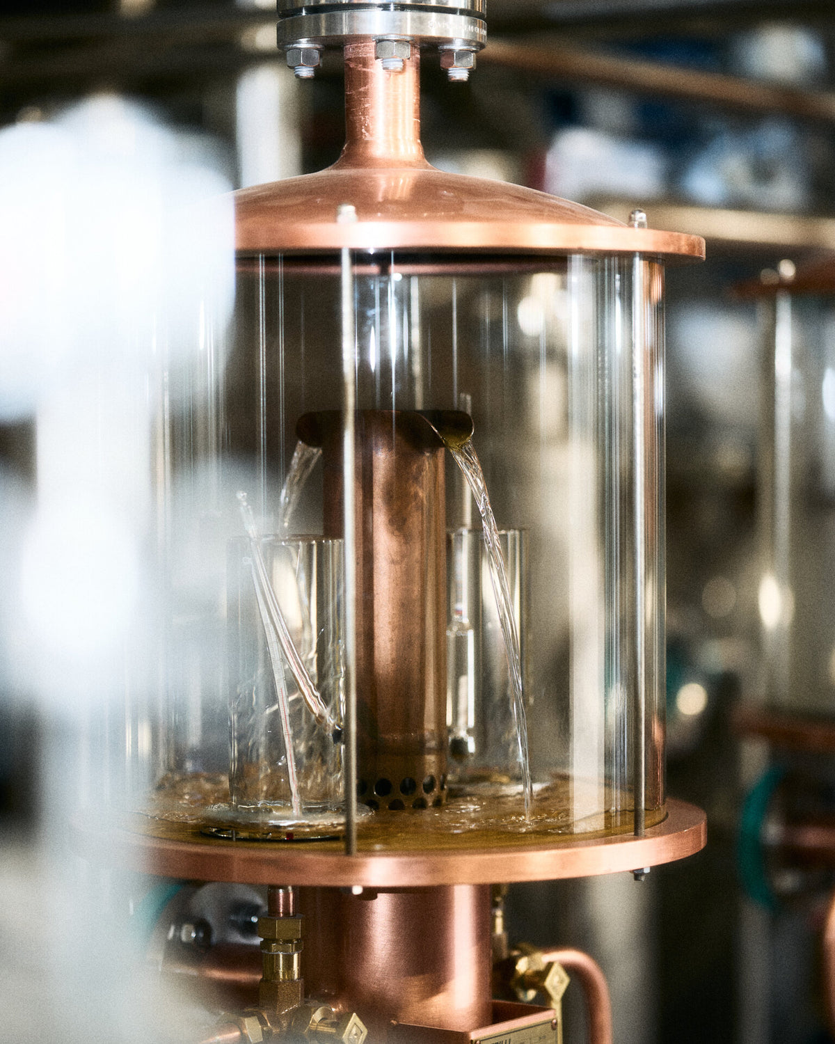 Copper stills catching afternoon light